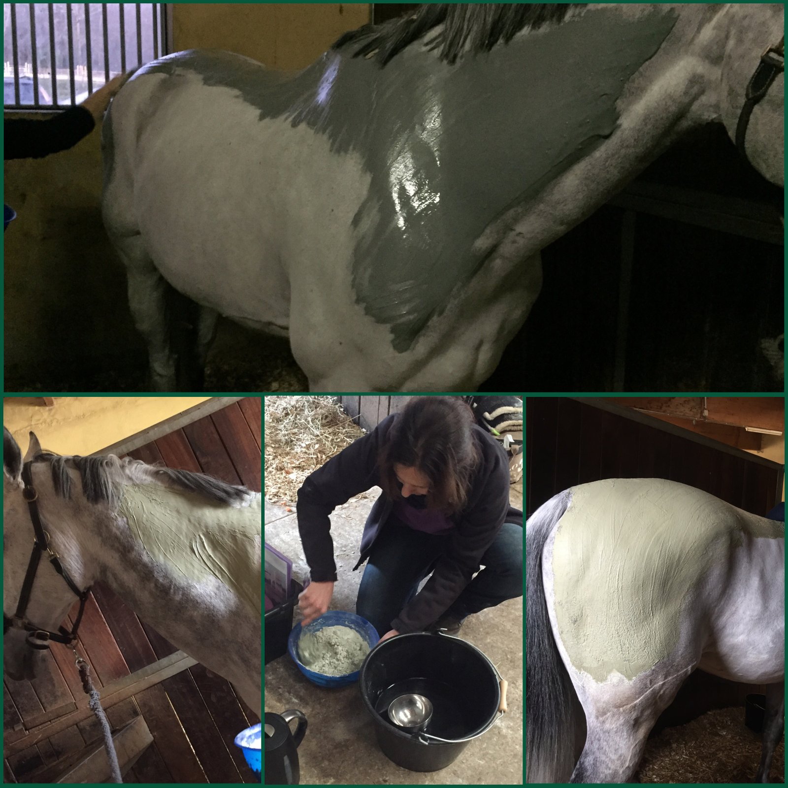 equithalasso equialges cures argiles