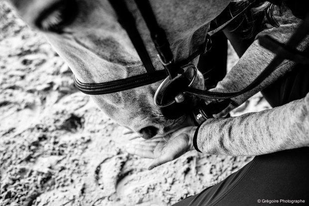 Gregoire photographe