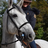 Découverte des installations de l'ecole nationale d'équitation de saumur