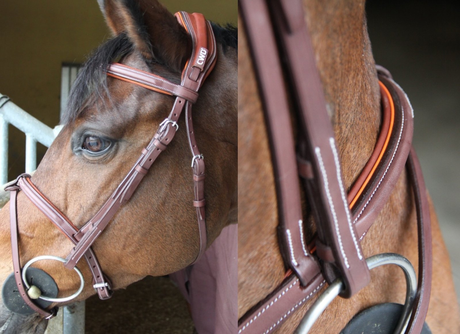 cwd mademoiselle orange 
