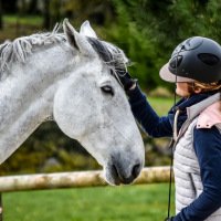#98 J'ai testé pour vous ... Horsia